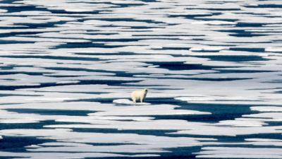 Ártico está a aquecer quatro vezes mais rápido do que o resto do planeta, revela estudo - TVI