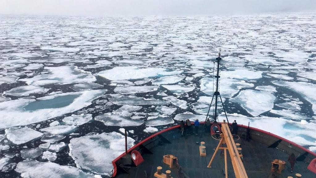 Aquecimento global - Ártico (Foto: Devin Powell/AP)