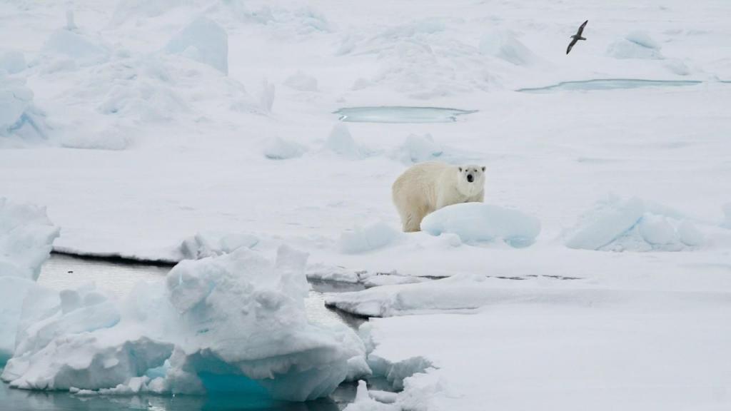 Aquecimento global - Ártico (Foto: R. Dabrukas/AP)