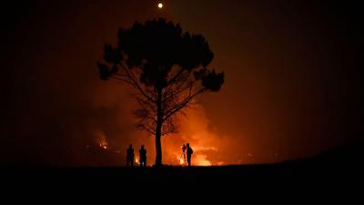 Incêndios: metade dos fogos que deflagraram este ano tiveram como causa a negligência - TVI
