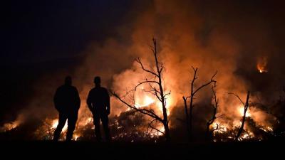 Mais de 30 concelhos de cinco distritos em perigo máximo de incêndio - TVI