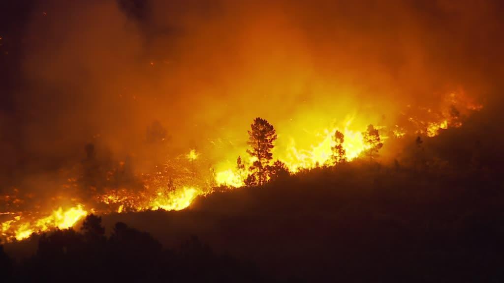 Serra da Estrela. Autarcas querem "apoio imediato" do Governo e criticam operação de combate às chamas