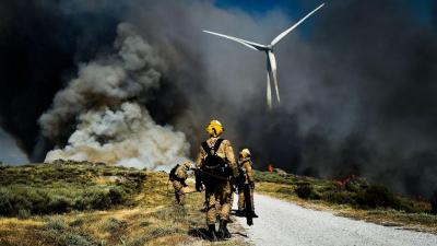 Sete concelhos do Algarve em perigo máximo de incêndio - TVI