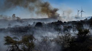 Imagens de drone na Serra da Estrela depois do grande incêndio