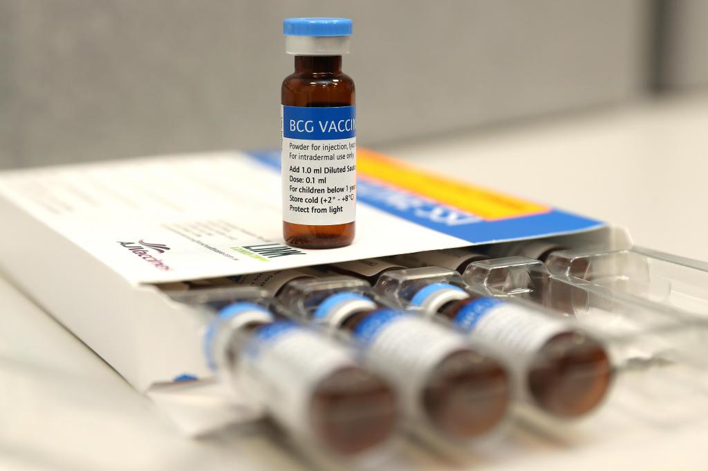 Vacina BCG (Paul Kane/Getty Images)