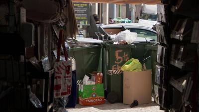 Pragas de ratos e baratas: Lisboa esteve dois meses sem contrato para ações de prevenção nas ruas - TVI