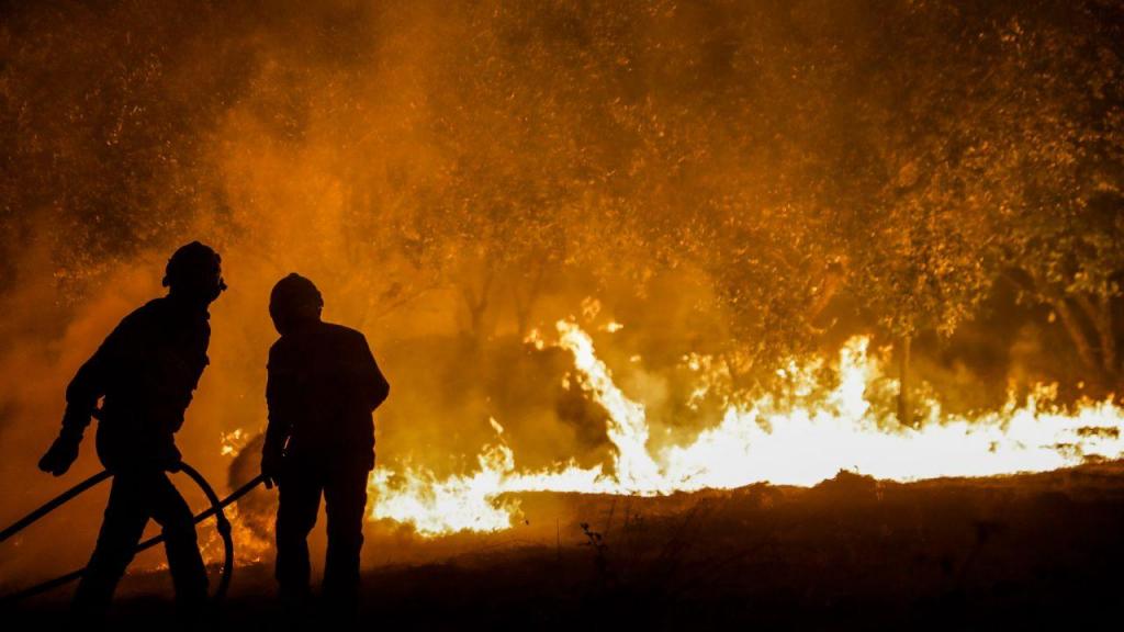 Incêndio de Ourém ameaça habitações (Lusa)