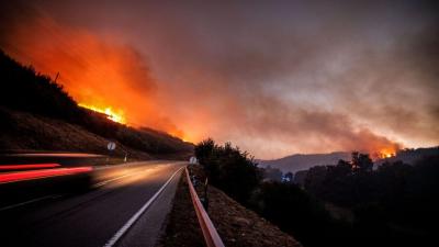 Doze concelhos de cinco distritos em perigo máximo de incêndio - TVI