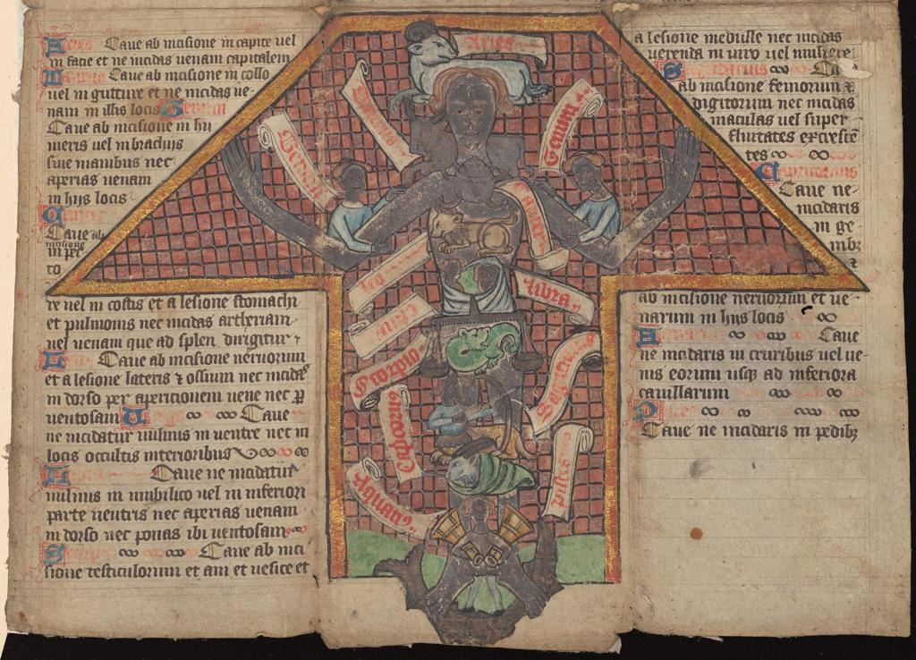 Manuscritos revelam remédios medievais (Foto: Cambridge University Library)