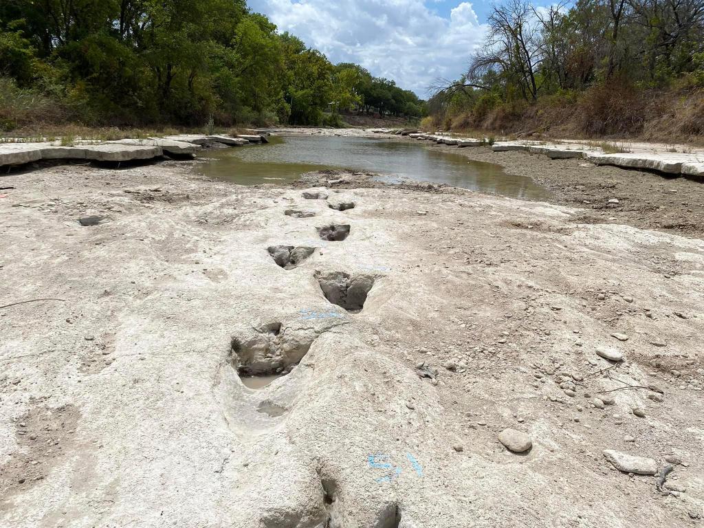 Trilho de pegadas de dinossauro descoberto no Texas por causa da seca (Foto: Dinosaur Valley State Park)