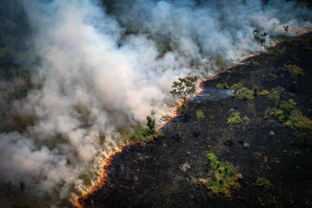 Incêndios na floresta amazónica, a 31 de agosto de 2022 (Imagem Getty)