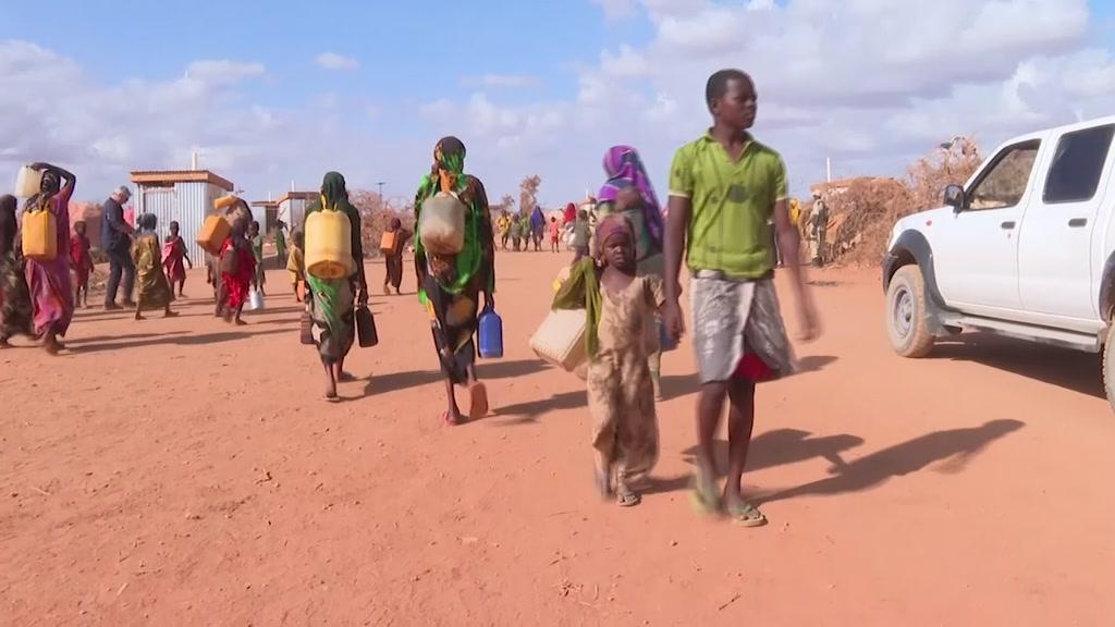 Meio milhão de crianças em risco de morrer à fome na Somália