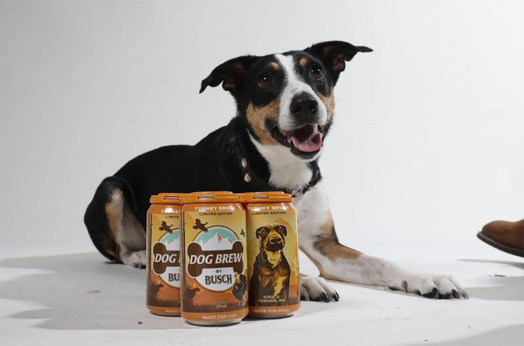 A Busch Beer estreou uma "cerveja para cão" de edição limitada com sabor a peru. Foto: Anheuser-Busch