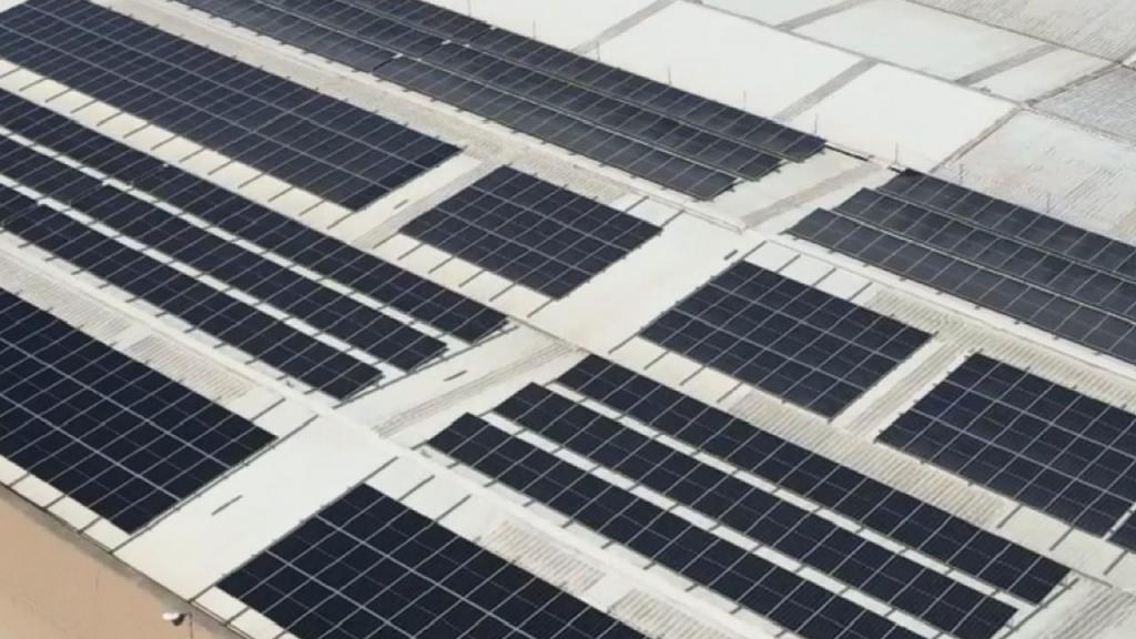 Coca-Cola instala painéis solares (Foto: divulgação)