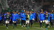 Palmeiras festeja título no Brasileirão