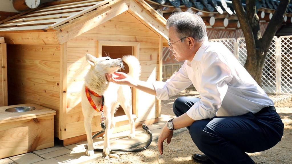 Moon Jae-in com Gomi, um dos cães oferecidos pela Coreia do Norte, em 2018 (AP)
