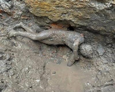 Um "tesouro" por baixo das termas. Descobertas estátuas de bronze com mais de 2 mil anos na Toscânia - TVI