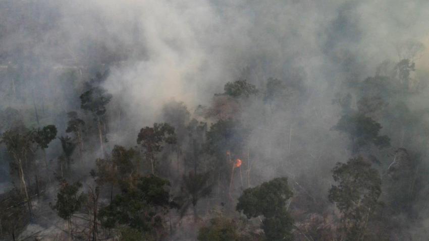 incêndios na Amazónia - AWAY