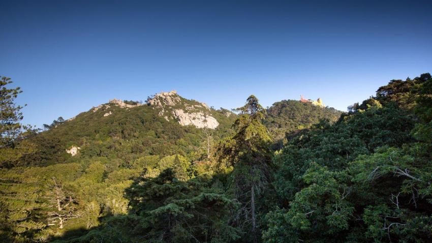 Parque Natural da Serra de Sintra-Cascais - AWAY