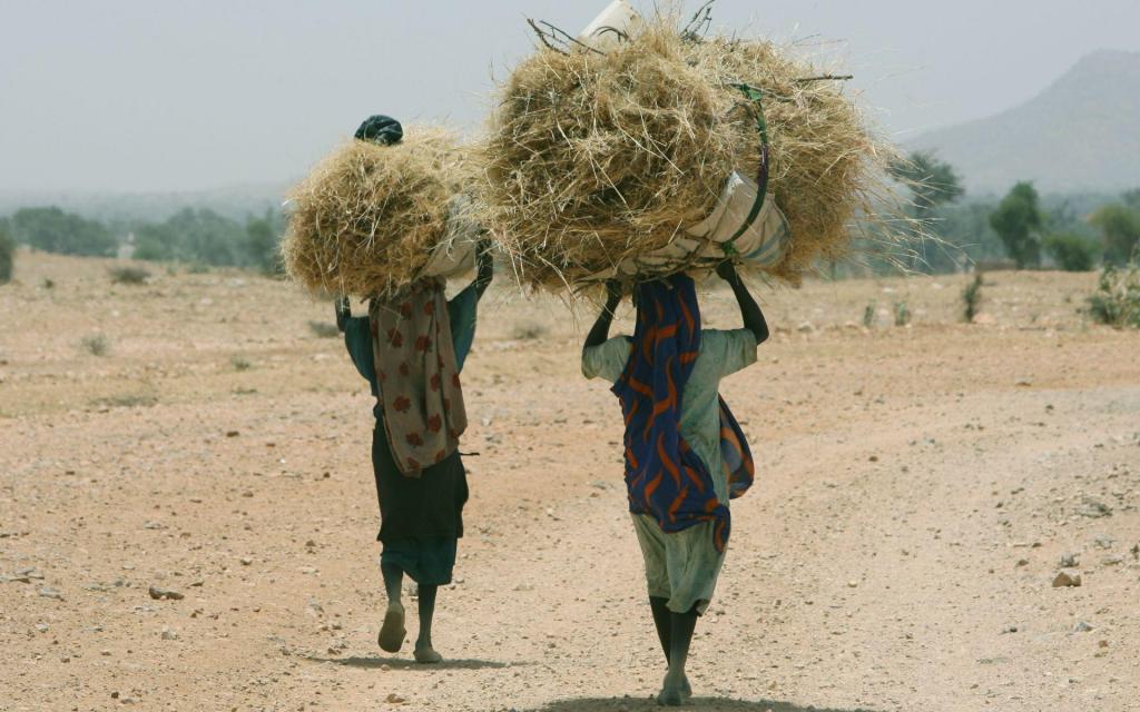 Mulheres no Sudão (AP Photo)