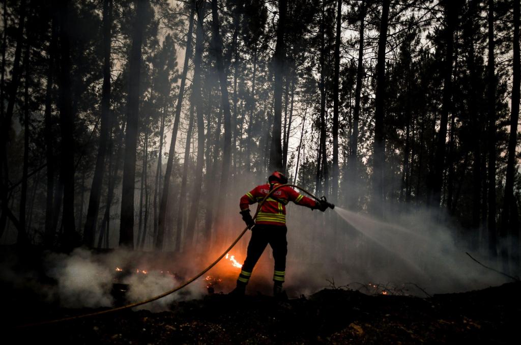 Bombeiros em incêndios florestais (Getty)
