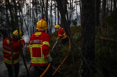 Cerca de 40 concelhos de seis distritos em perigo máximo de incêndio - TVI