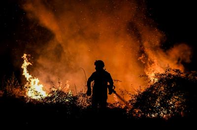 Fogo florestal na Chamusca combatido por quase 150 operacionais - TVI