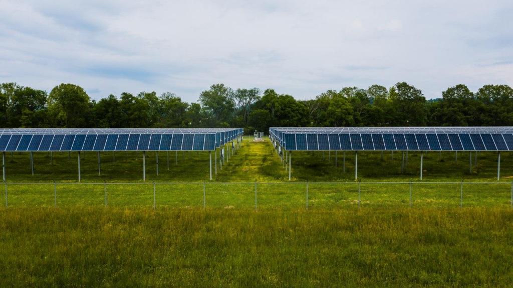 Parque solar (Foto: Kelly/ Pexels)
