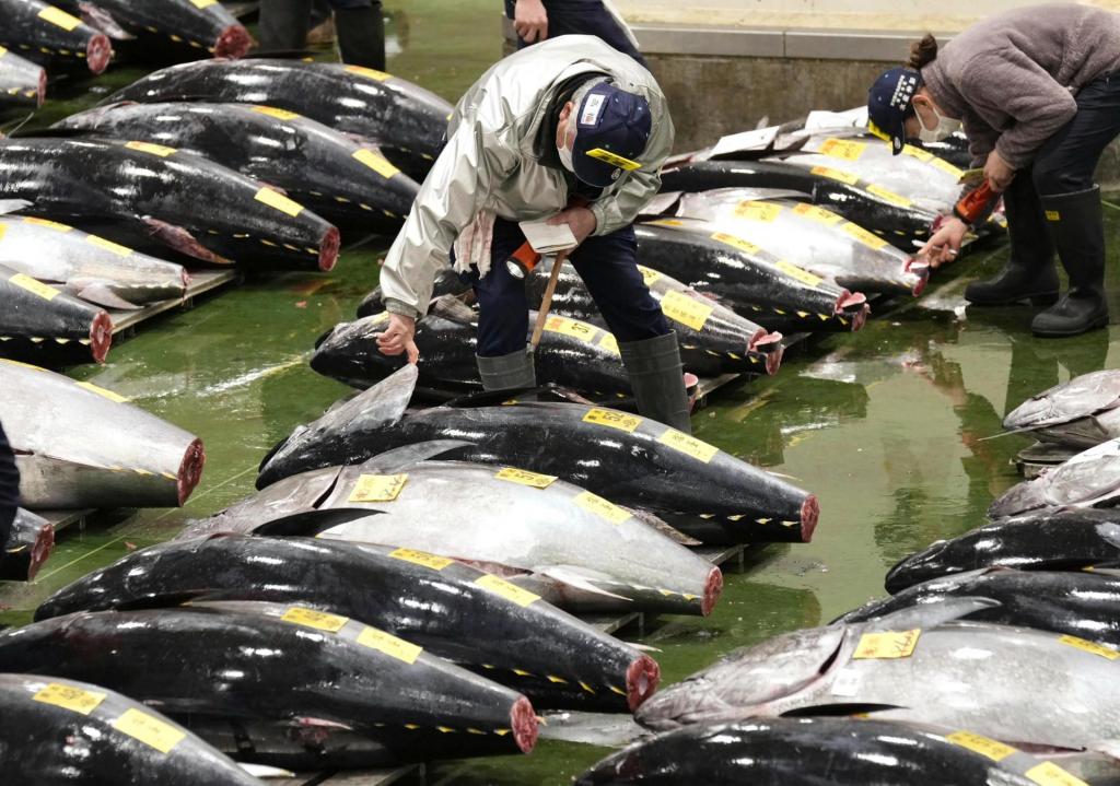 Atum vendido em leilão em Tóquio (Associated Press)