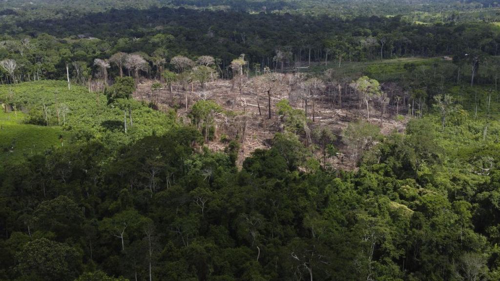 Floresta da Amazónia (Foto: Eraldo Peres/ AP)