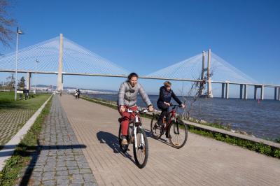 Portugal continua a ser o maior produtor de bicicletas da União Europeia - TVI