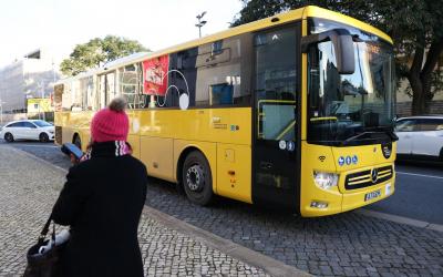 Carris Metropolitana demarca-se da greve parcial da Carris e garante que está a operar "regularmente" - TVI