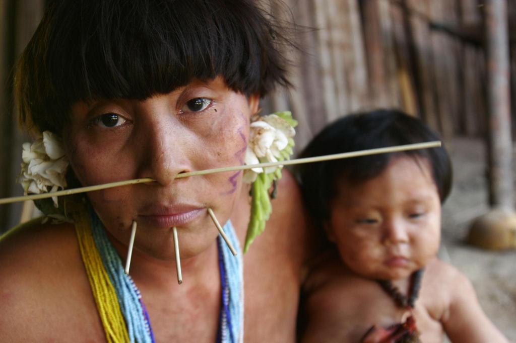 Família Yanomami (Majority World/Universal Images Group via Getty Images)