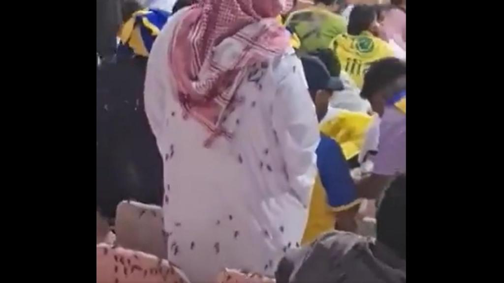 Praga de gafanhotos durante jogo do Al Nassr (vídeo/twitter)