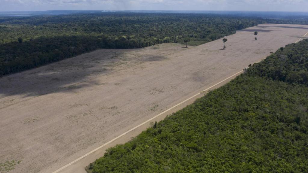 Plantação de soja na Amazónia (foto: Leo Correa/AP)