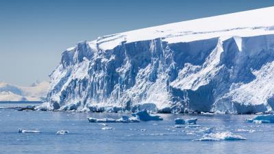 Glaciares estão a derreter a uma velocidade dramática - TVI
