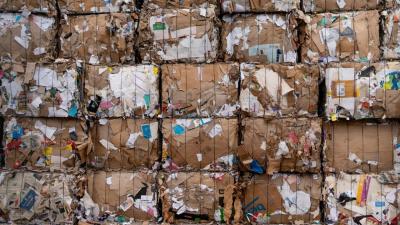 Reciclagem deve ser acelerada na Europa, diz Agência Europeia do Ambiente - TVI