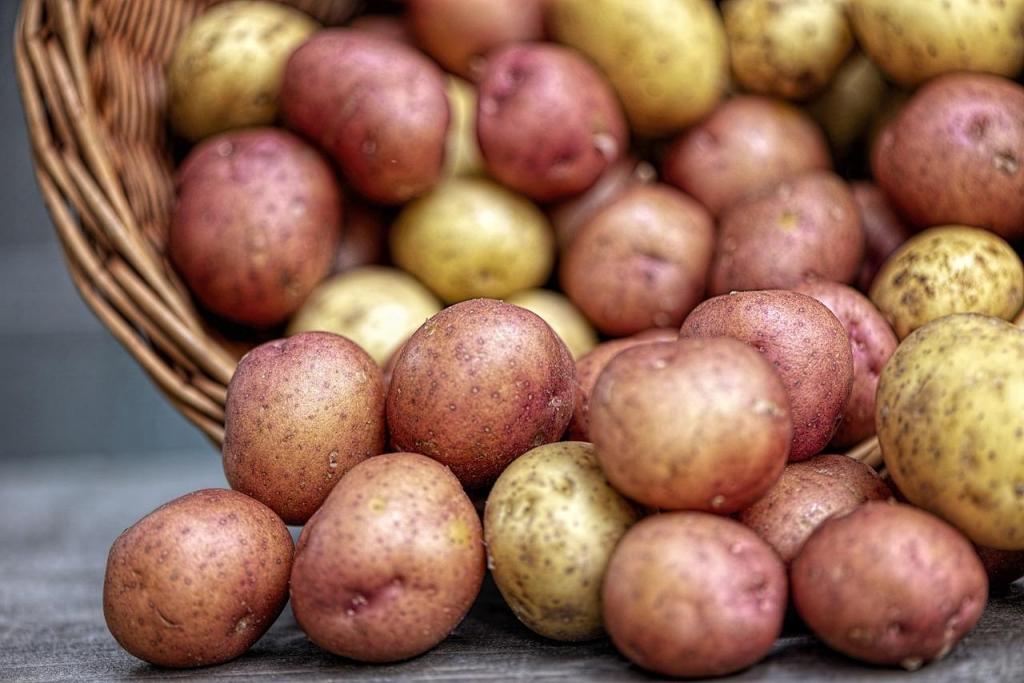 Batatas Foto stanbalik Pixabay