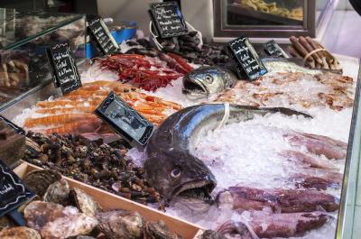 Saúde: cientistas emitem alerta sobre um dos peixes mais consumidos pelos portugueses - TVI