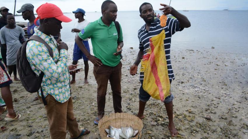 Pesca em Moçambique - AWAY