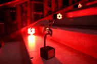As melhores imagens da gala do Benfica (Fotos: SL Benfica)