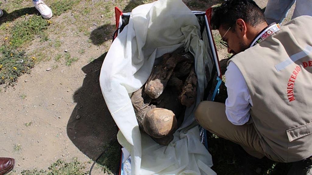 Múmia encontrada na mala térmica de um estafeta (fonte: Ministério da Cultura do Peru)