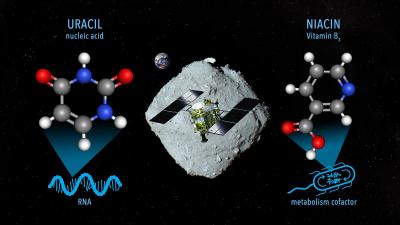 Composto de ARN e vitamina B3 encontrados em amostras de asteroide próximo da Terra - TVI
