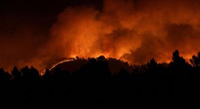Governo disponibilizou meios para combater incêndio em Espanha - TVI