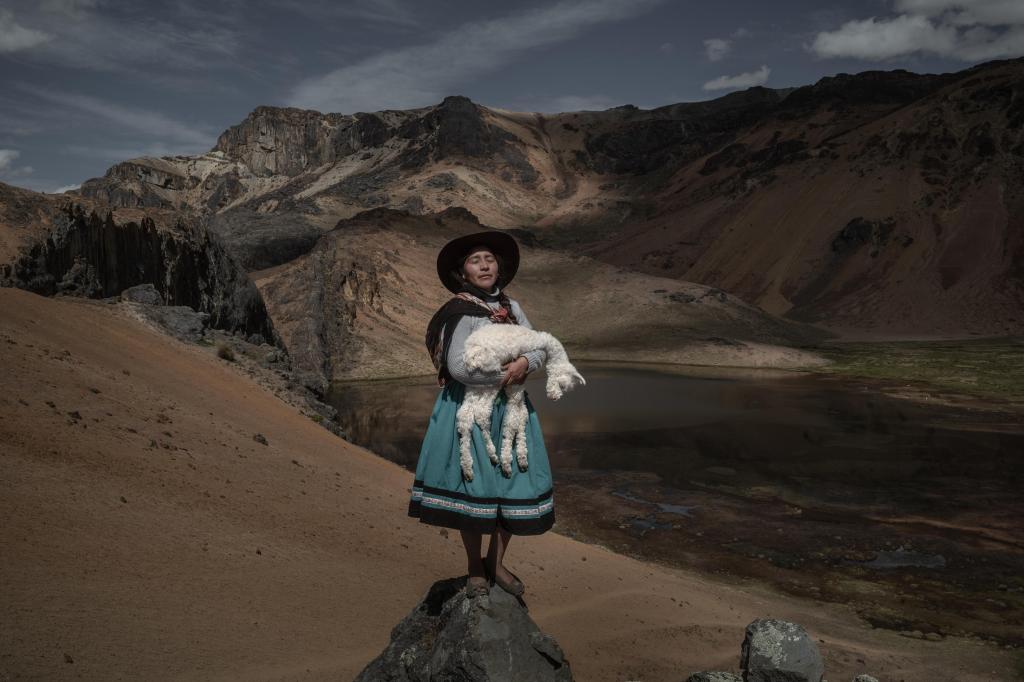 World Press Photo, vencedor regional América do Sul, história: "Alpaqueros", de Alessandro Cinque, Pulitzer Center/National Geographic (DR)