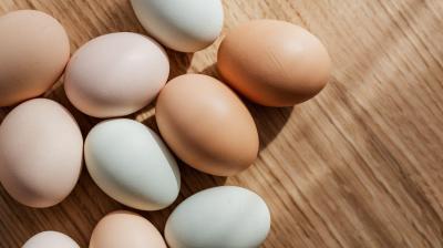 Estudo diz que carne, ovos e leite oferecem nutrientes essenciais especialmente para grupos vulneráveis - TVI