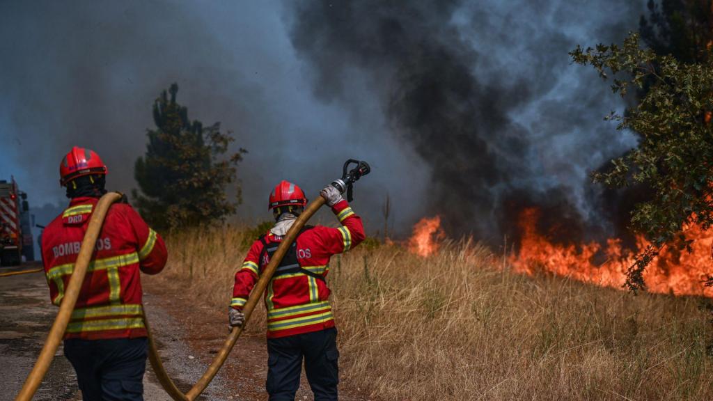 Mais de 7.000 hectares de área ardida em 2023 em Portugal. (Omar Marques/Getty Images)