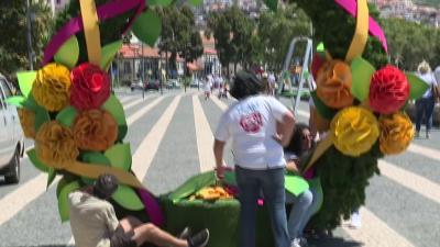 Festa da Flor enche hotéis do Funchal - TVI