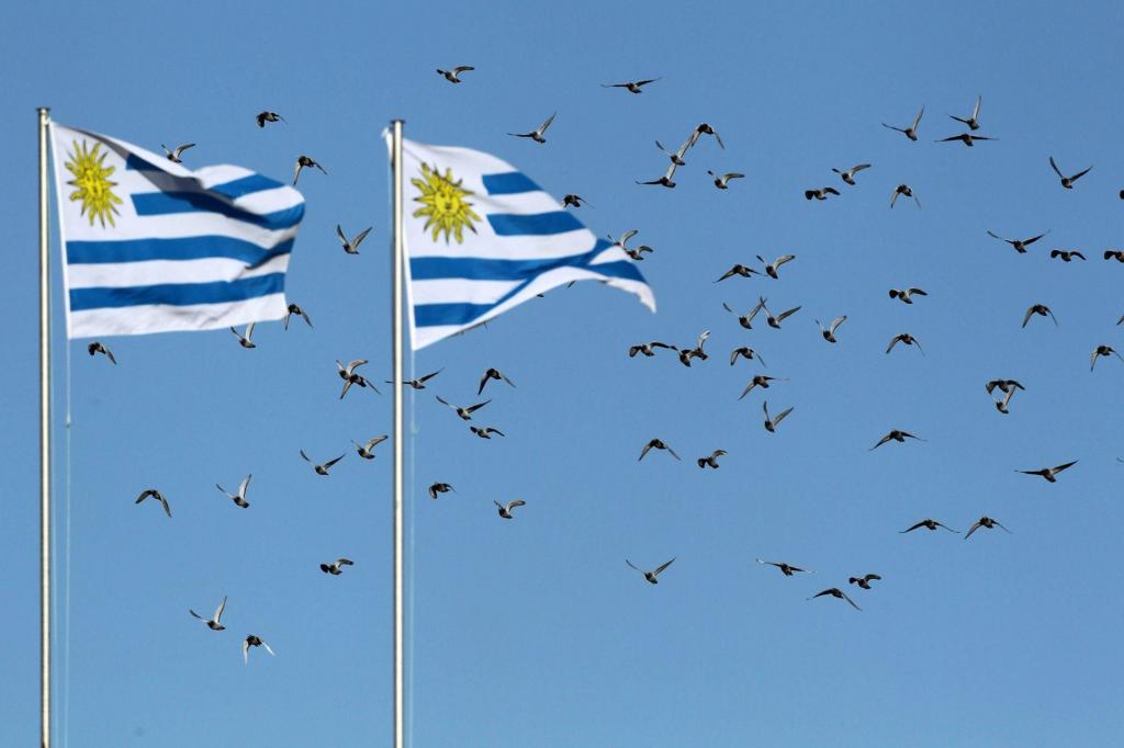 Bandeiras do Uruguai (AP)