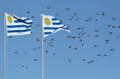 Uruguai aprova aumento da idade da reforma de 60 para 65 anos - TVI